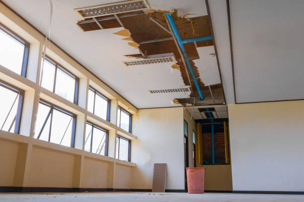 Best Carpet water damage restoration  in Midway, UT