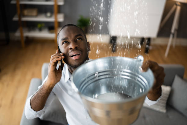 Best Sewage cleanup and water damage restoration  in Midway, UT