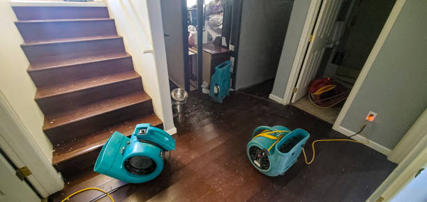  Midway, UT Water damage restoration Pros