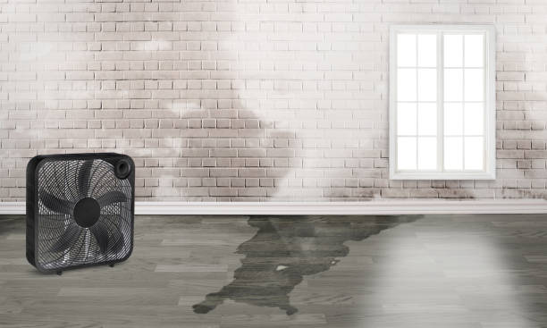 Best Fire Damage Restoration  in Midway, UT