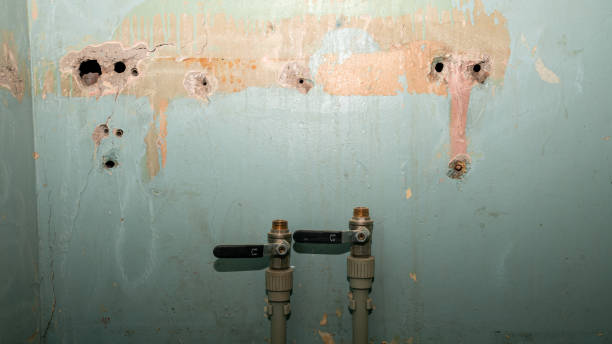 Best Basement water damage restoration  in Midway, UT